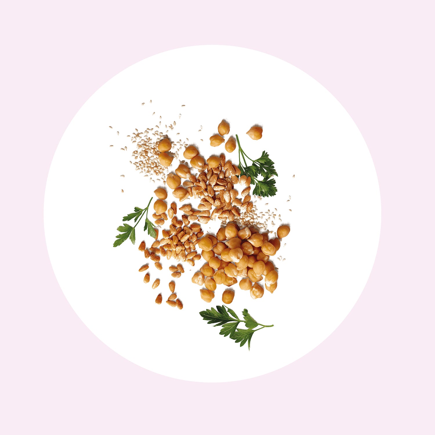 Legumbres, Granos, Cereales y Harinas