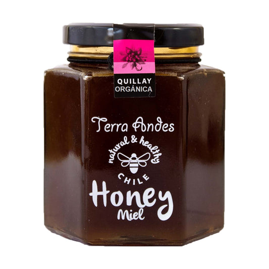 Miel de Quillay Orgánica Terra Andes 400 gr