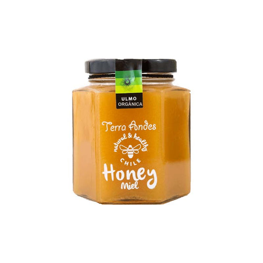 Miel de Ulmo Orgánica Terra Andes 240 gr