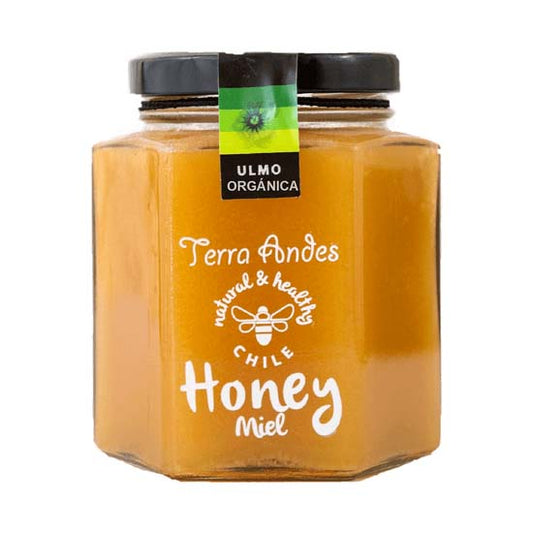 Miel de Ulmo Orgánica Terra Andes 400 gr
